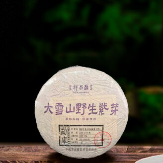 十七年原料大雪山野生紫芽400g生茶g（配一泡同款品鉴装）/17 year old raw material Daxueshan wild purple bud 400g raw tea g (with one cup of the same tasting set)